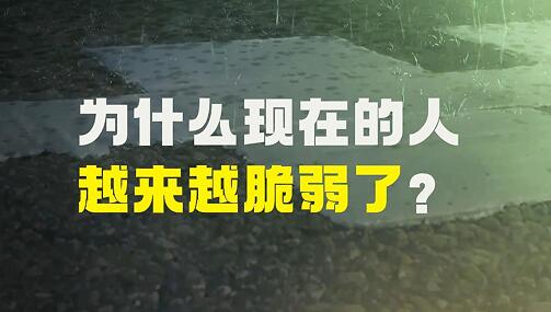 QQ截图20250102164327.jpg