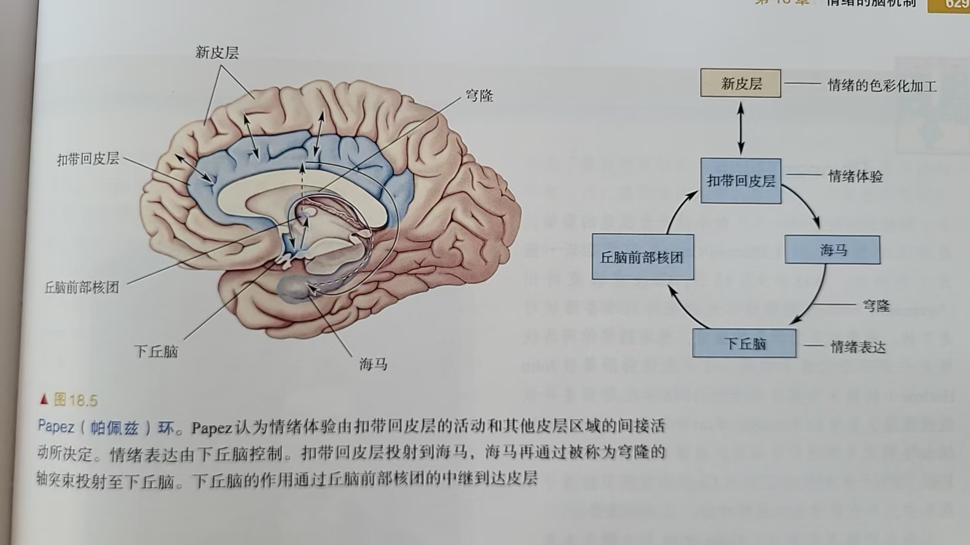 理性与感性.jpg